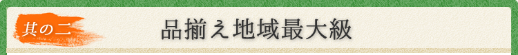 其の二 品揃え地域最大級